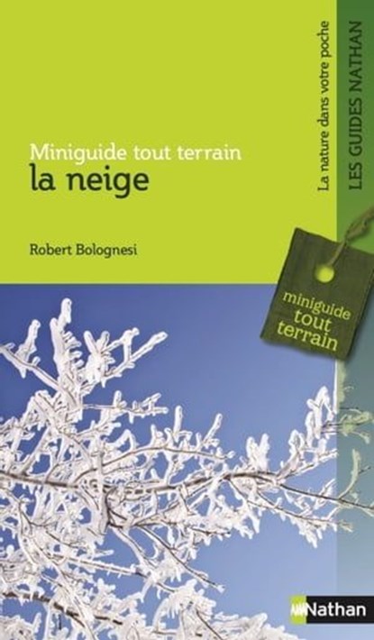 La neige, Robert Bolognesi - Ebook - 9782092788813
