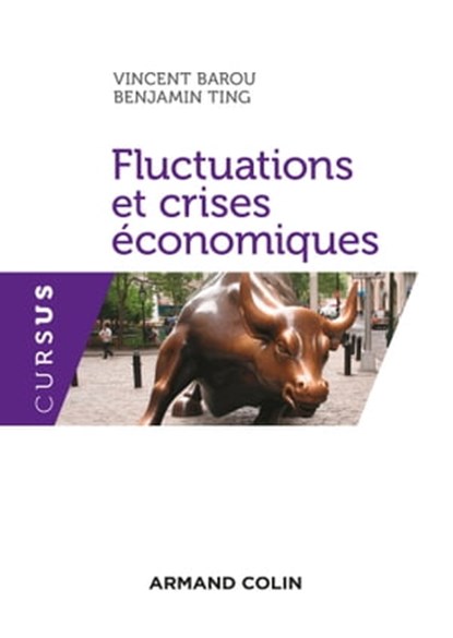 Fluctuations et crises économiques, Vincent Barou ; Benjamin Ting - Ebook - 9782200612917