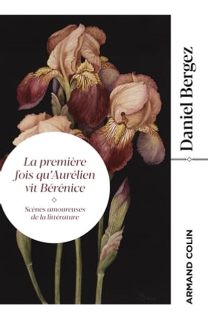 La première fois qu'Aurélien vit Bérénice, Daniel Bergez - Ebook - 9782200632977