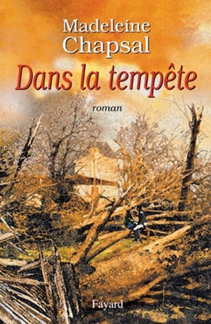 Dans la tempête, Chapsal-M - Paperback - 9782213606590