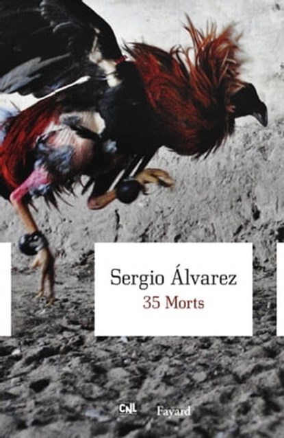 35 Morts, Sergio Alvarez - Ebook - 9782213667348