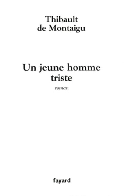 Un jeune homme triste, Thibault de Montaigu - Ebook - 9782213676562