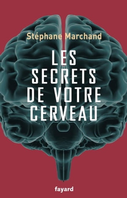 Les secrets de votre cerveau, Stéphane Marchand - Ebook - 9782213687933