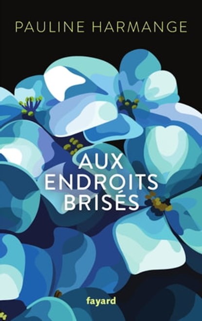 Aux endroits brisés, Pauline Harmange - Ebook - 9782213722597