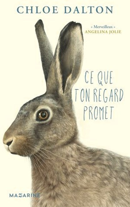 Ce que ton regard promet, Chloe Dalton - Ebook - 9782213730639