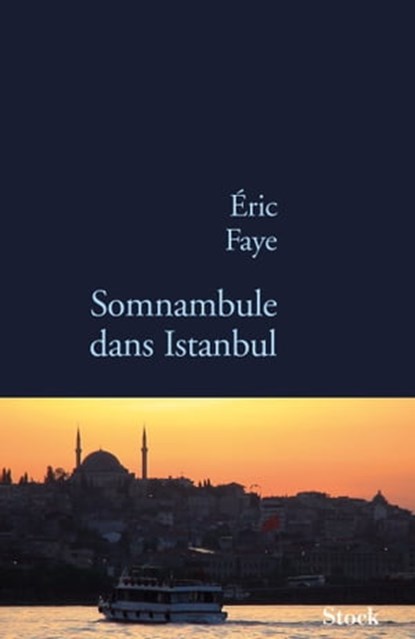 Somnambule dans Istanbul, Eric Faye - Ebook - 9782234072862