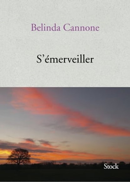 S'émerveiller, Belinda Cannone - Ebook - 9782234080195