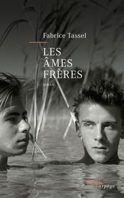 Les âmes frères, Fabrice Tassel - Ebook - 9782234087965
