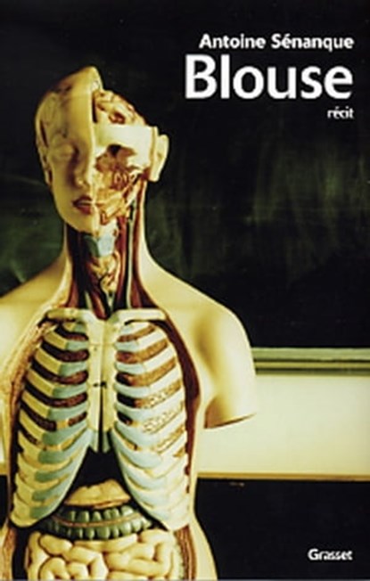 Blouse, Antoine Sénanque - Ebook - 9782246664291