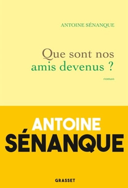 Que sont nos amis devenus ?, Antoine Sénanque - Ebook - 9782246823551