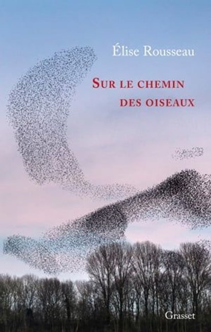 Sur le chemin des oiseaux, Élise Rousseau - Ebook - 9782246825654