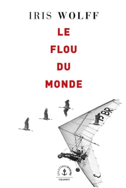 Le flou du monde, Iris Wolff - Ebook - 9782246827948