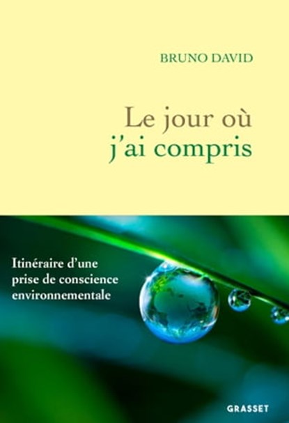 Le jour où j'ai compris, Bruno David - Ebook - 9782246832911
