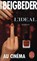 Beigbeder, F: Ideal, BEIGBEDER,  Frédéric - Paperback - 9782253067955