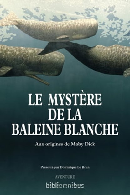 Le mystère de la baleine blanche, Owen Chase ; Thomas Nickerson ; Herman Melville - Ebook - 9782258117280