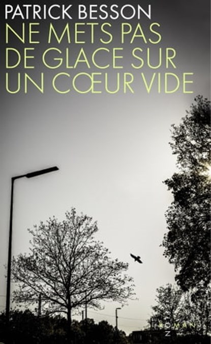 Ne mets pas de glace sur un coeur vide, Patrick Besson - Ebook - 9782259249195