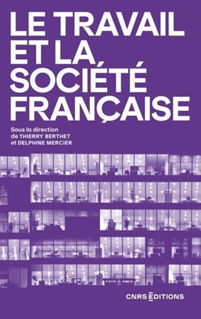 Le travail et la société française, Thierry Berthet ; Delphine Mercier - Ebook - 9782271153708