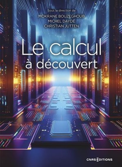 Le calcul à découvert, Mokrane Bouzeghoub - Ebook - 9782271153746