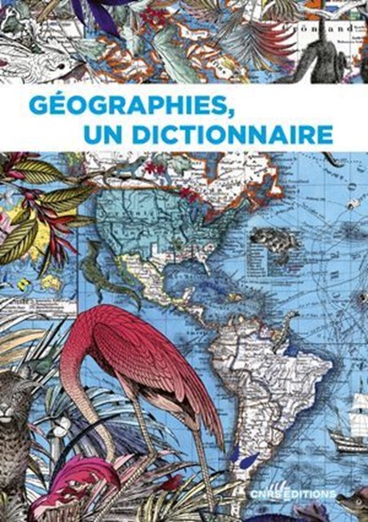 Géographies, un dictionnaire, Collectif - Ebook - 9782271155412
