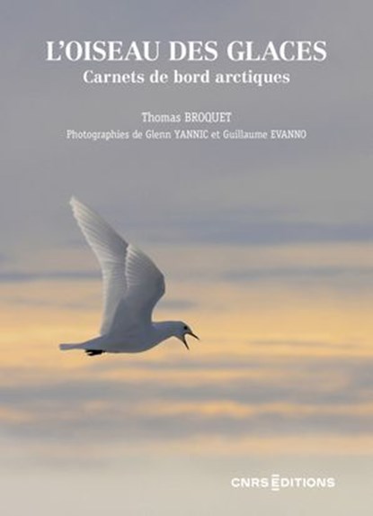 L'oiseau des glaces - Carnets de bord arctiques, Thomas Broquet ; Guillaume Evanno ; Glenn Yannic - Ebook - 9782271155603