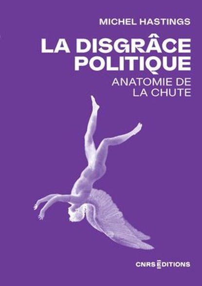 La disgrâce politique - Anatomie de la chute, Michel Hastings - Ebook - 9782271159984
