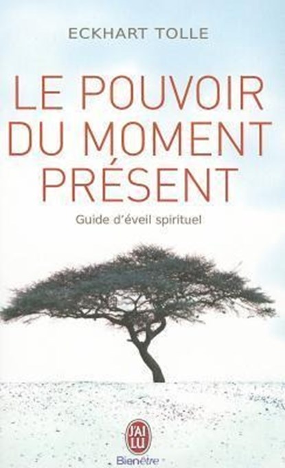 Le pouvoir du moment present, Eckhart Tolle - Paperback - 9782290020203