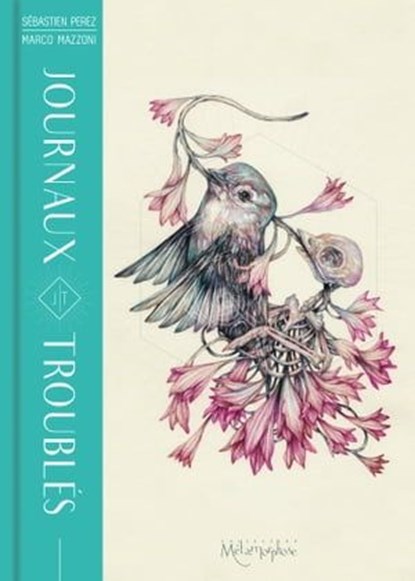 Journaux troublés, Sébastien Perez ; Marco Mazzoni - Ebook - 9782302085060