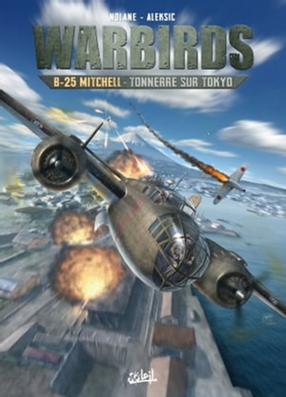 Warbirds B-25 Mitchell, Richard D. Nolane - Ebook - 9782302122710