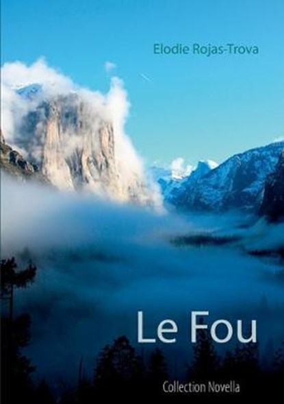 Le Fou, ROJAS-TROVA,  Elodie - Paperback - 9782322011322