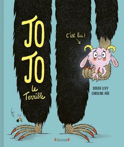 Jojo le terrible, Didier Lévy - Ebook - 9782324036071