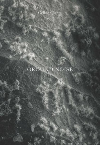 Ground Noise, Jérôme Sueur - Gebonden - 9782330178901