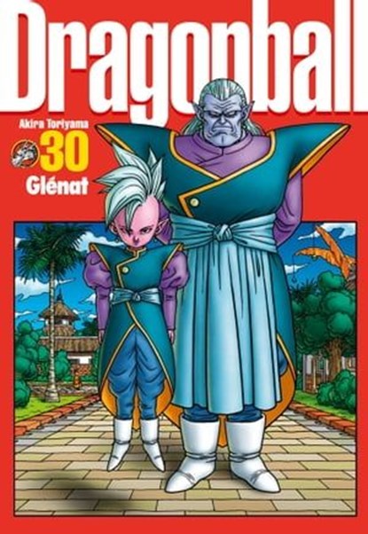 Dragon Ball perfect edition - Tome 30, Akira Toriyama - Ebook - 9782331017506