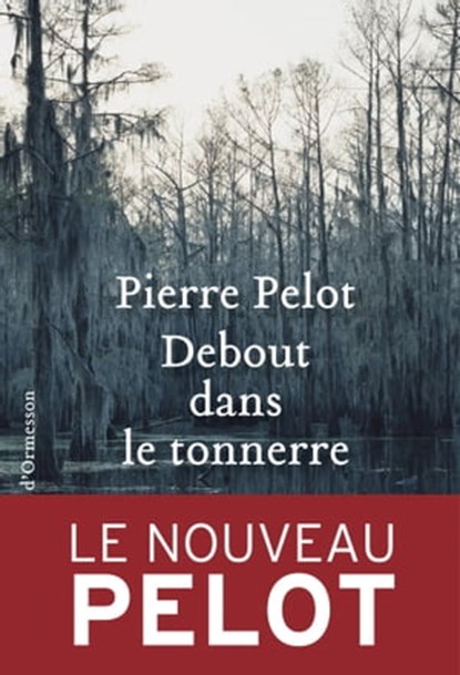 Debout dans le tonnerre, Pierre Pelot - Ebook - 9782350874265