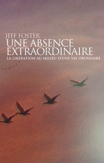 Une absence extraordinaire - La libération au milieu d'une vie ordinaire, Jeff Foster - Ebook - 9782351181850