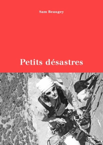 Petits désastres, Sam Beaugey ; Dominique Potard - Ebook - 9782352213307