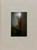 Photographies du soir, Julien Carreyn - Gebonden - 9782365820202