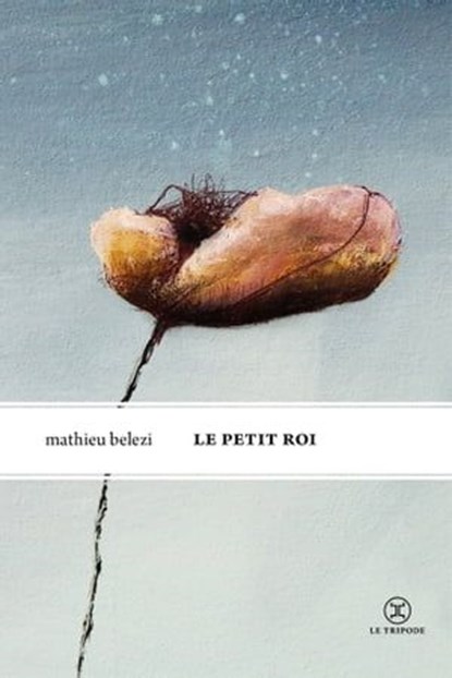 Le Petit Roi, Mathieu Belezi - Ebook - 9782370553492