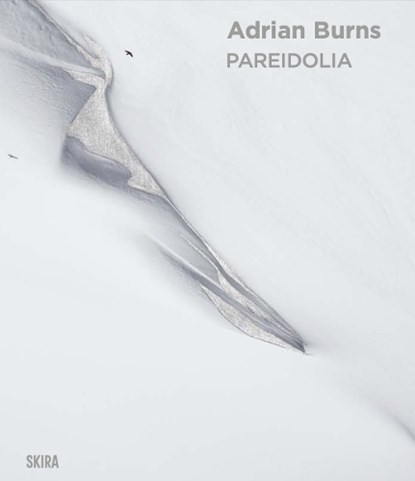 Pareidolia: Adrian Burns (Bilingual edition), Denise Wendel-Poray ; Eric Garandeau - Gebonden - 9782370742605