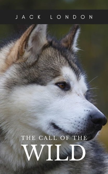 The Call of the Wild, Jack London - Ebook - 9782380371840