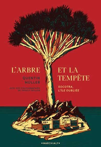 L'Arbre et la Tempête, Quentin Muller - Ebook - 9782381344362