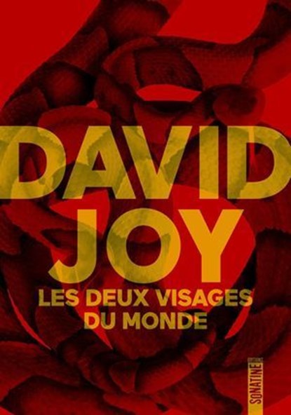 Les Deux Visages du monde, David Joy - Ebook - 9782383991830