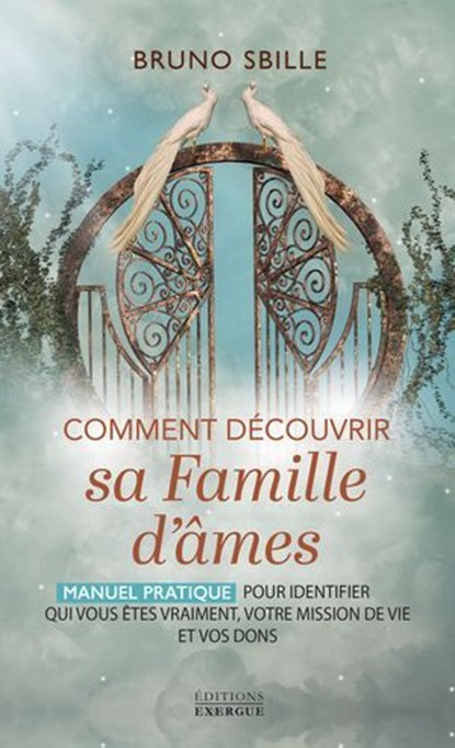 Comment découvrir sa famille d'âmes ? - Manuel pratique pour identifier qui vous êtes vraiment, votre mission de vie et vos dons, Bruno Sbille - Ebook - 9782385383992