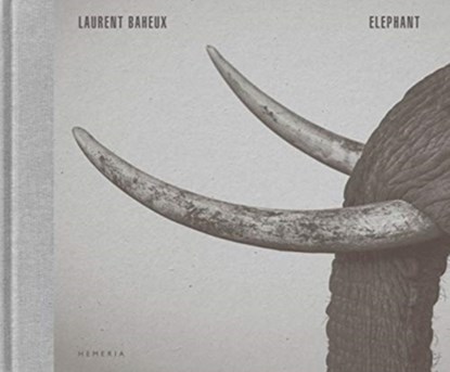 Elephant, BAHEUX,  Laurent - Gebonden - 9782490952229