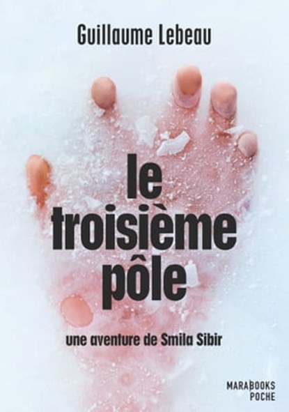 Le troisième pôle - Une aventure de Smila Sibir, Guillaume Lebeau - Ebook - 9782501091558