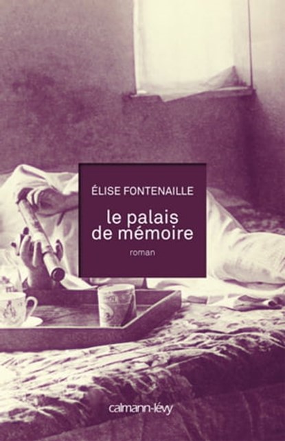 Le Palais de mémoire, Elise Fontenaille - Ebook - 9782702150221