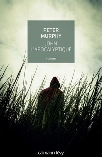 John l'apocalyptique, Peter Murphy - Ebook - 9782702154076