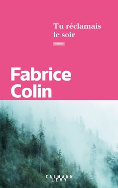 Tu réclamais le soir, Fabrice Colin - Ebook - 9782702182987