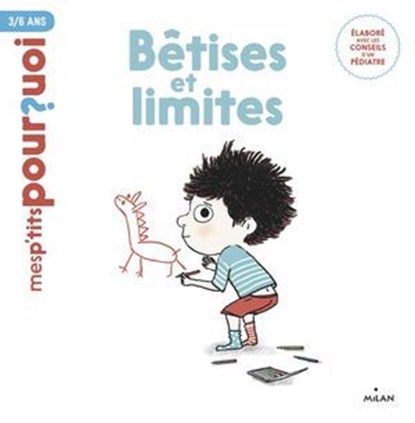 Bêtises et limites, Sophie Dussaussois - Ebook - 9782745999917