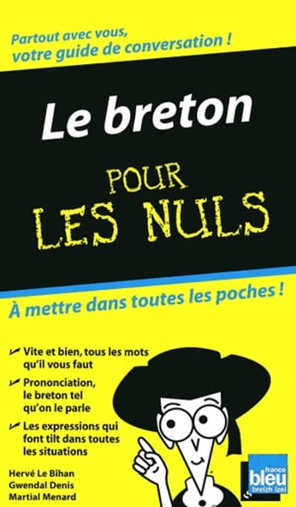 Le breton - guide de conversation pour les nuls, Hervé Le Bihan ; Gwendal Denis ; Martial Menard - Ebook - 9782754038478