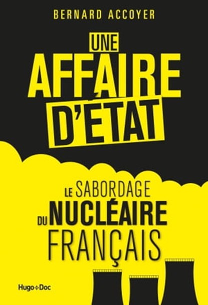 Une affaire d'état, Franck Spengler ; Bernard Accoyer ; Géraldine Maillet - Ebook - 9782755692587